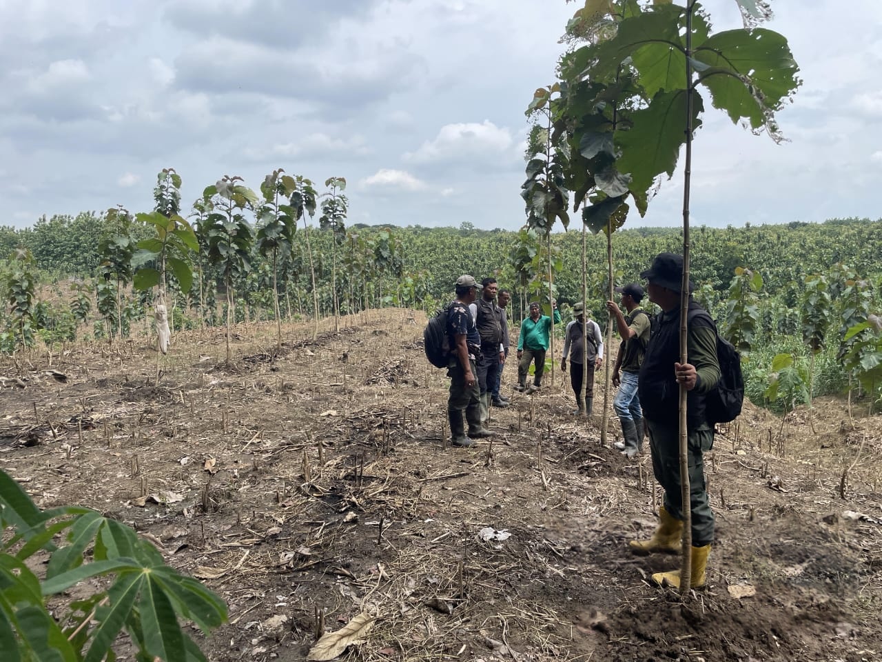 14fa4b12-3a79-4ca3-b5ec-92f9f9b53718