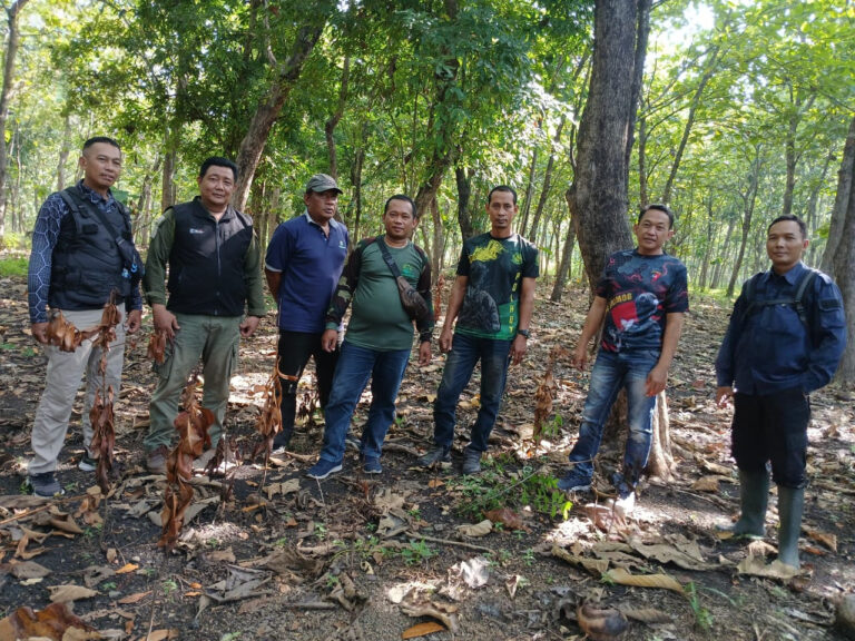 WhatsApp-Image-2025-12-03-at-15.21.161