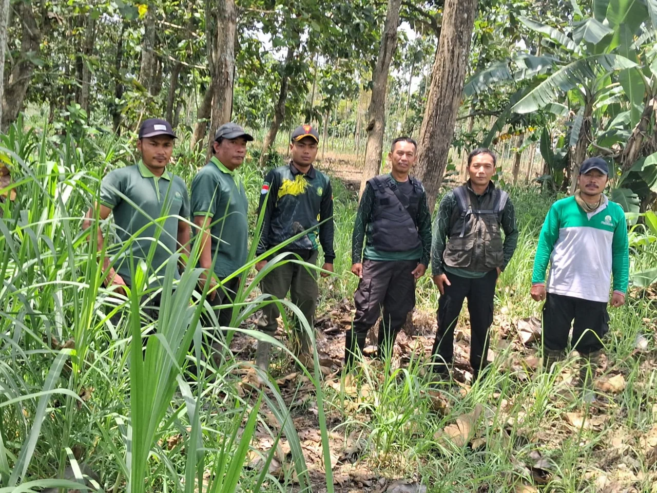 WhatsApp-Image-2026-03-28-at-13.25.411