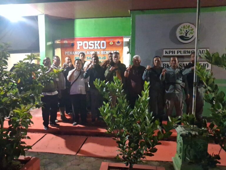 wmremove-transformed30